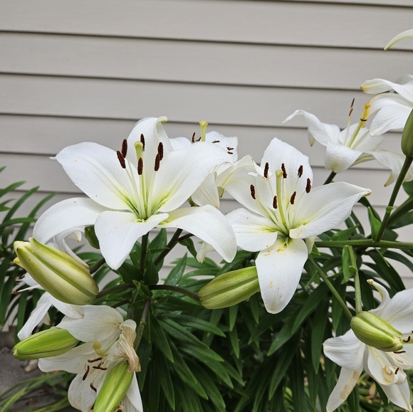 Meet your Posher, Hannah - Picture 13 of 13